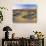 Flowers Growing on Dessert Landscape, Sonoran Desert, Anza Borrego Desert State Park, California-Adam Jones-Photographic Print displayed on a wall