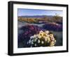 Flowers Growing on Dessert Landscape, Sonoran Desert, Anza Borrego Desert State Park, California-Adam Jones-Framed Photographic Print