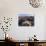 Flowers Growing on Dessert Landscape, Sonoran Desert, Anza Borrego Desert State Park, California-Adam Jones-Photographic Print displayed on a wall