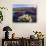 Flowers Growing on Dessert Landscape, Sonoran Desert, Anza Borrego Desert State Park, California-Adam Jones-Photographic Print displayed on a wall