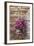 Flowers Hanging on Wall, Pienza, Tuscany, Italy-Terry Eggers-Framed Photographic Print