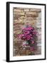 Flowers Hanging on Wall, Pienza, Tuscany, Italy-Terry Eggers-Framed Photographic Print