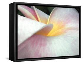 Flowers II-Jim Christensen-Framed Stretched Canvas