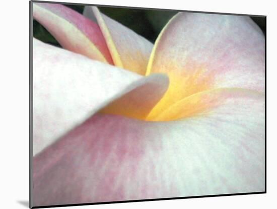 Flowers II-Jim Christensen-Mounted Photographic Print