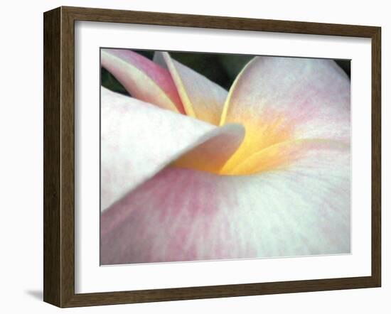 Flowers II-Jim Christensen-Framed Photographic Print