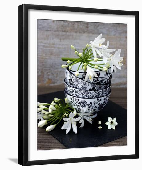 Flowers in a Bowl-Catherine Beyler-Framed Art Print