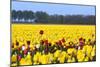 Flowers in a Field-Jan Marijs-Mounted Photographic Print