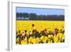 Flowers in a Field-Jan Marijs-Framed Photographic Print