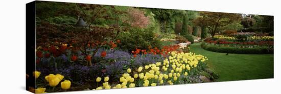 Flowers in a Garden, Butchart Gardens, Brentwood Bay, Vancouver Island, British Columbia, Canada-null-Stretched Canvas