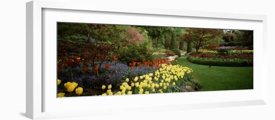 Flowers in a Garden, Butchart Gardens, Brentwood Bay, Vancouver Island, British Columbia, Canada-null-Framed Photographic Print