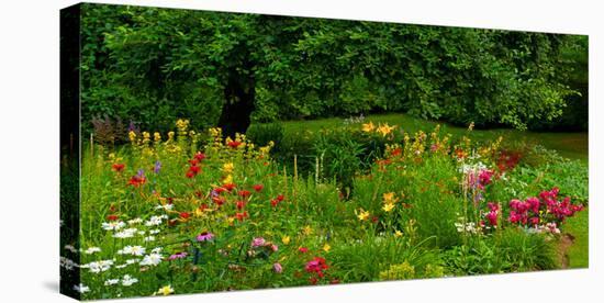 Flowers in a garden, Knowlton, Quebec, Canada-null-Stretched Canvas