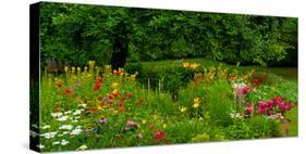 Flowers in a garden, Knowlton, Quebec, Canada-null-Stretched Canvas