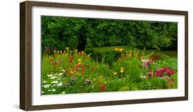 Flowers in a garden, Knowlton, Quebec, Canada-null-Framed Photographic Print