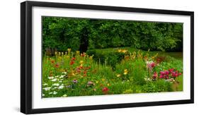 Flowers in a garden, Knowlton, Quebec, Canada-null-Framed Photographic Print