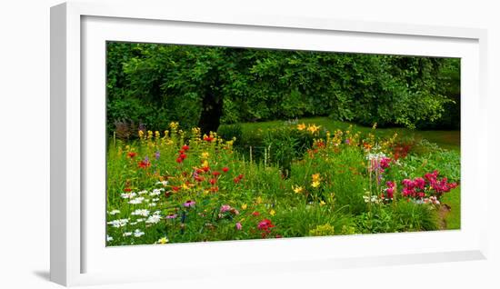 Flowers in a garden, Knowlton, Quebec, Canada-null-Framed Photographic Print