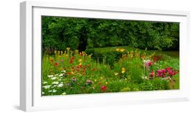 Flowers in a garden, Knowlton, Quebec, Canada-null-Framed Photographic Print