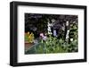 Flowers in a garden-Richard Bryant-Framed Photo