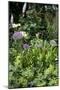 Flowers in a garden-Richard Bryant-Mounted Photo