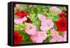 Flowers in a Glasshouse.-Reinhold Leitner-Framed Stretched Canvas