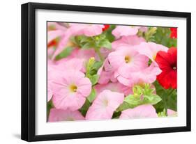 Flowers in a Glasshouse.-Reinhold Leitner-Framed Photographic Print