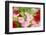 Flowers in a Glasshouse.-Reinhold Leitner-Framed Photographic Print