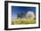 Flowers in a Meadow-Craig Tuttle-Framed Photographic Print