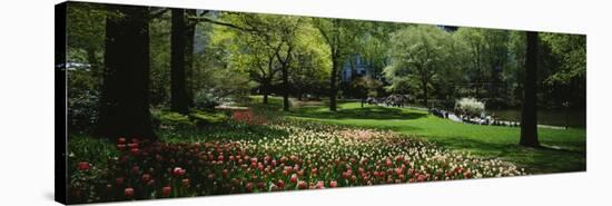 Flowers in a Park, Central Park, Manhattan, New York, USA-null-Stretched Canvas