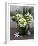 Flowers in a Vase-Catherine Beyler-Framed Art Print