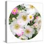 Flowers in a White Round Frame-Alaya Gadeh-Stretched Canvas