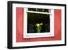 Flowers in a Window I-Alan Hausenflock-Framed Photographic Print