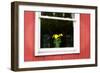 Flowers in a Window I-Alan Hausenflock-Framed Premium Photographic Print