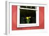 Flowers in a Window I-Alan Hausenflock-Framed Premium Photographic Print