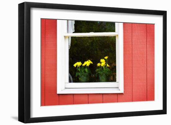 Flowers in a Window II-Alan Hausenflock-Framed Photographic Print