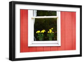 Flowers in a Window II-Alan Hausenflock-Framed Photographic Print