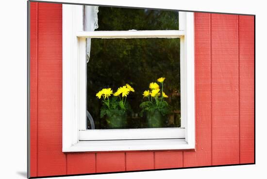 Flowers in a Window II-Alan Hausenflock-Mounted Photographic Print