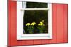 Flowers in a Window II-Alan Hausenflock-Mounted Photographic Print