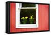 Flowers in a Window II-Alan Hausenflock-Framed Stretched Canvas