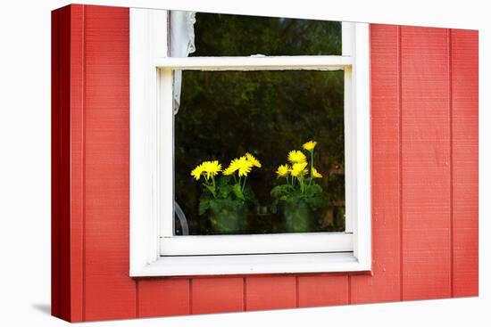 Flowers in a Window II-Alan Hausenflock-Stretched Canvas