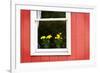 Flowers in a Window II-Alan Hausenflock-Framed Photographic Print