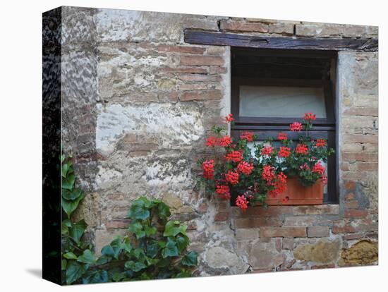 Flowers in a Window In a Tuscan Village, San Quirico d'Orcia, Italy-Dennis Flaherty-Stretched Canvas