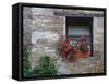 Flowers in a Window In a Tuscan Village, San Quirico d'Orcia, Italy-Dennis Flaherty-Framed Stretched Canvas