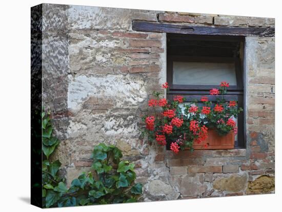 Flowers in a Window In a Tuscan Village, San Quirico d'Orcia, Italy-Dennis Flaherty-Stretched Canvas