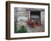 Flowers in a Window In a Tuscan Village, San Quirico d'Orcia, Italy-Dennis Flaherty-Framed Photographic Print