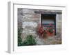 Flowers in a Window In a Tuscan Village, San Quirico d'Orcia, Italy-Dennis Flaherty-Framed Photographic Print