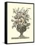 Flowers in an Urn II (Sepia)-Roy/Piranesi-Framed Stretched Canvas