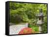 Flowers in Bloom, Japanese Garden, Washington Park Arboretum, Seattle, Washington, USA-Jamie & Judy Wild-Framed Stretched Canvas