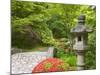 Flowers in Bloom, Japanese Garden, Washington Park Arboretum, Seattle, Washington, USA-Jamie & Judy Wild-Mounted Photographic Print