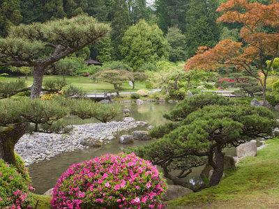 https://imgc.allpostersimages.com/img/posters/flowers-in-bloom-japanese-garden-washington-park-arboretum-seattle-washington-usa_u-L-P2U69E0.jpg?artPerspective=n