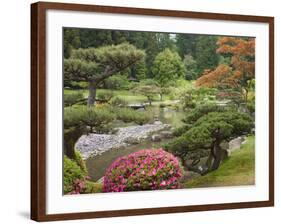 Flowers in Bloom, Japanese Garden, Washington Park Arboretum, Seattle, Washington, USA-Jamie & Judy Wild-Framed Photographic Print