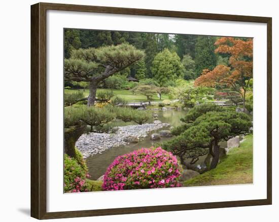 Flowers in Bloom, Japanese Garden, Washington Park Arboretum, Seattle, Washington, USA-Jamie & Judy Wild-Framed Photographic Print